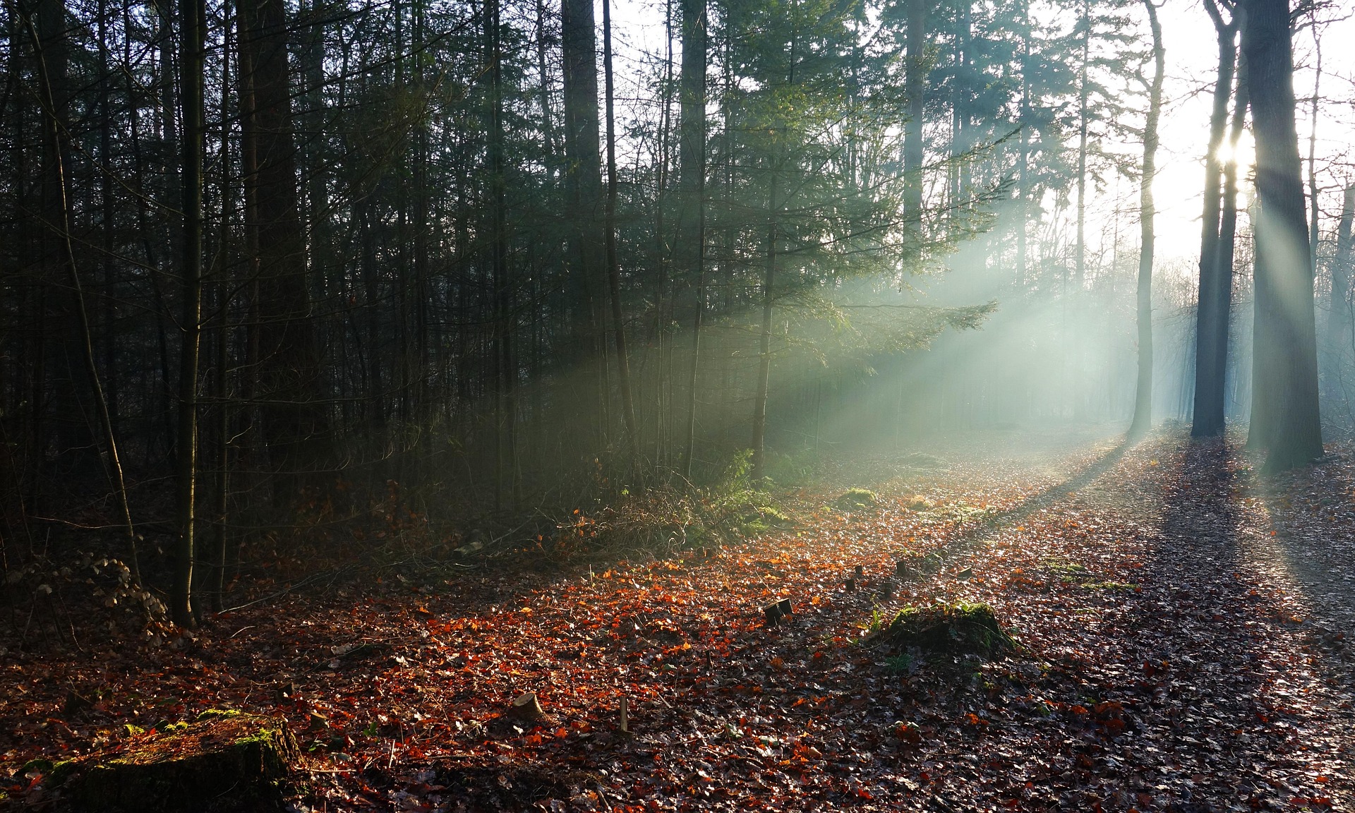 Apeldoorn/Veluwe